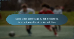 Read more about the article Dario Vidosic: Beiträge zu den Socceroos, Internationale Einsätze, Vermächtnis