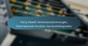 Harry Kewell: Vereinsauszeichnungen, Internationale Einsätze, Karrierehöhepunkte