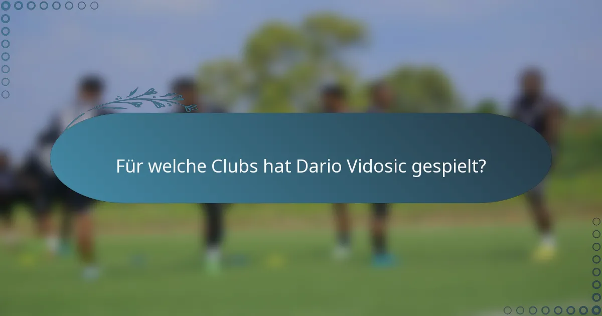 Für welche Clubs hat Dario Vidosic gespielt?
