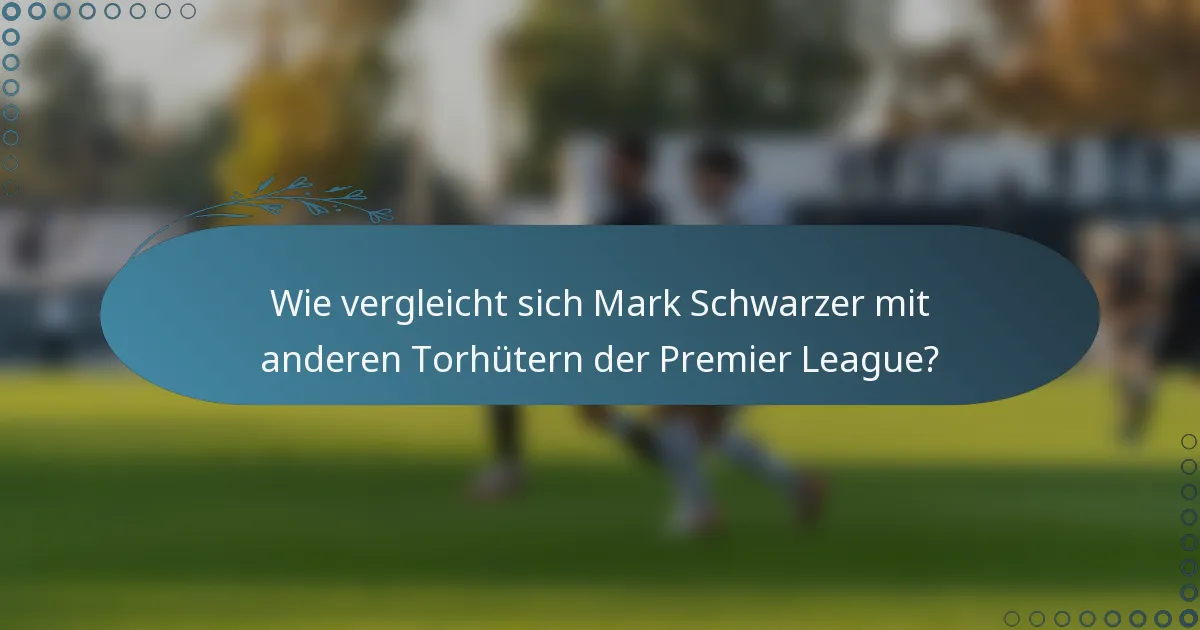 Wie vergleicht sich Mark Schwarzer mit anderen Torhütern der Premier League?